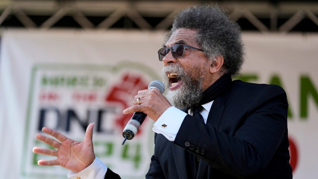 Then Gainor: from Zebra Escapes to CNN Blunders, the most shameful moments of June