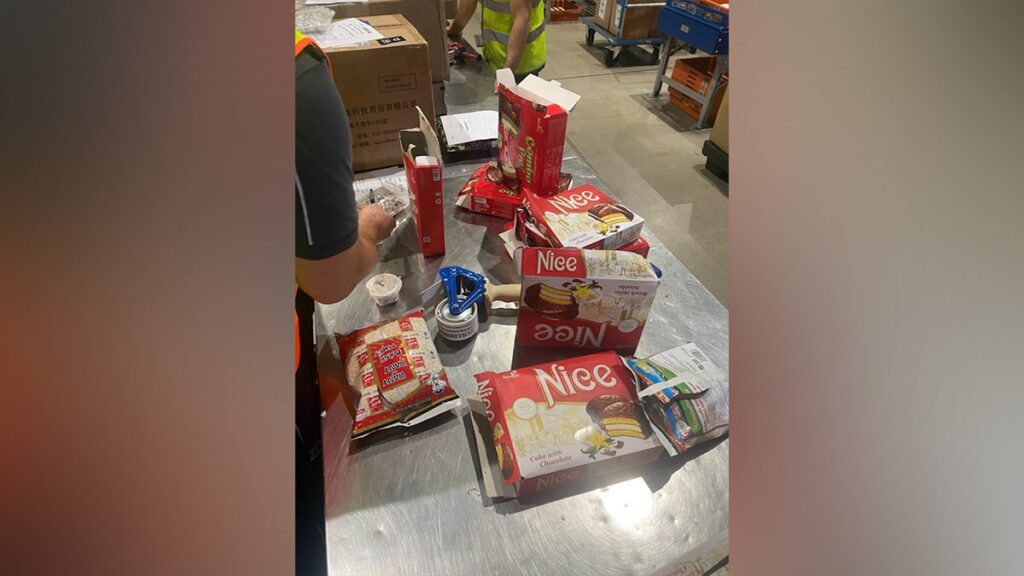 German customs officials find 1500 Tarantulas hidden in Spongecake Shipping