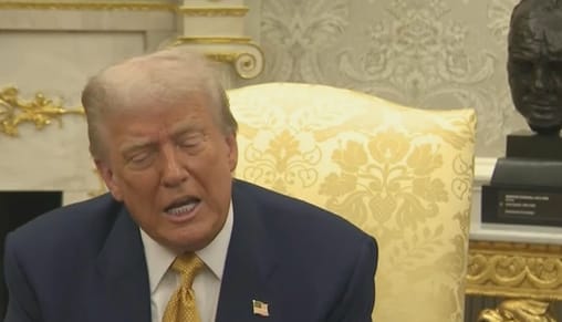 Trump has a colossal mental collapse while the Epstein scandal breaks him