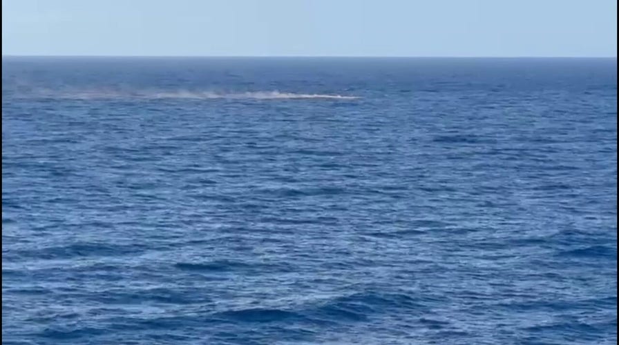 A search is underway for a Viking cruise crew member who fell overboard in the Mediterranean