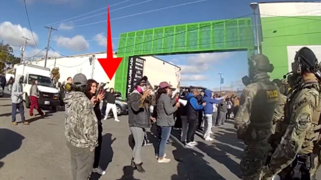 An immigration moratorium is needed to deport all illegal immigrants from America