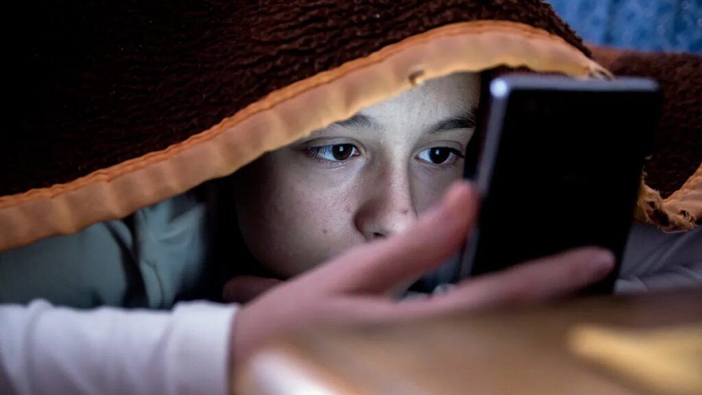 France is making progress on banning social media for children under 15