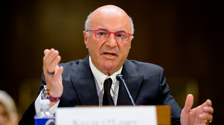 Kevin O’Leary throws CVs ‘in the bin’ when parents participate in job interviews