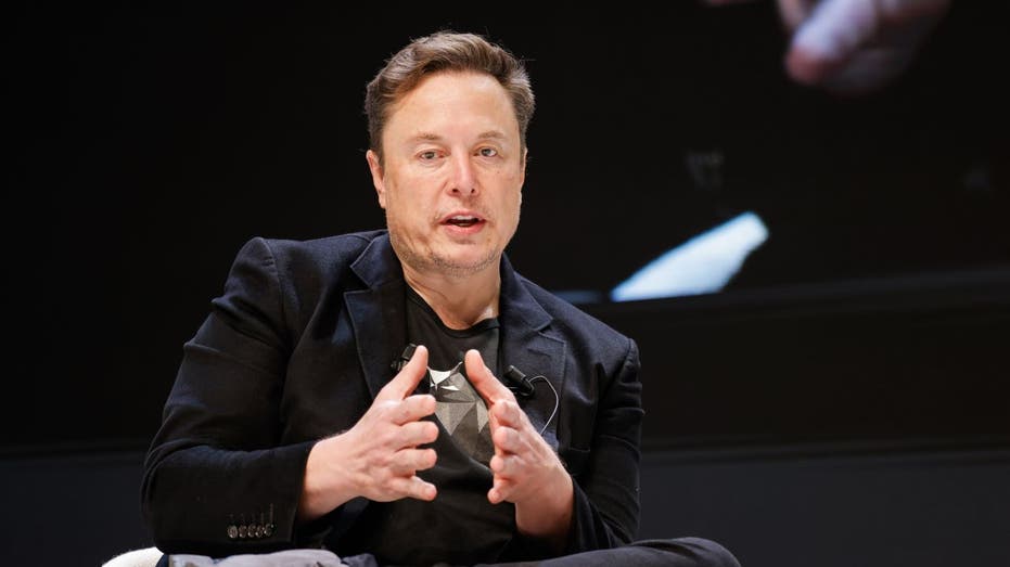 Musk offers to pay TSA workers as DHS funding at airports expires