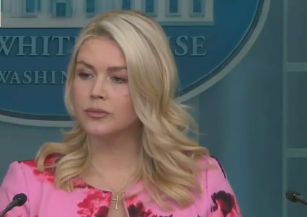 Karoline Leavitt has just prepared herself for war crimes charges