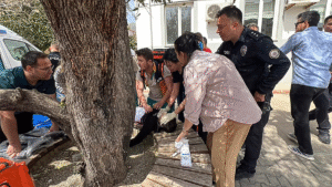 Teenager reportedly kills nine people at high school in Turkey in second shooting in two days